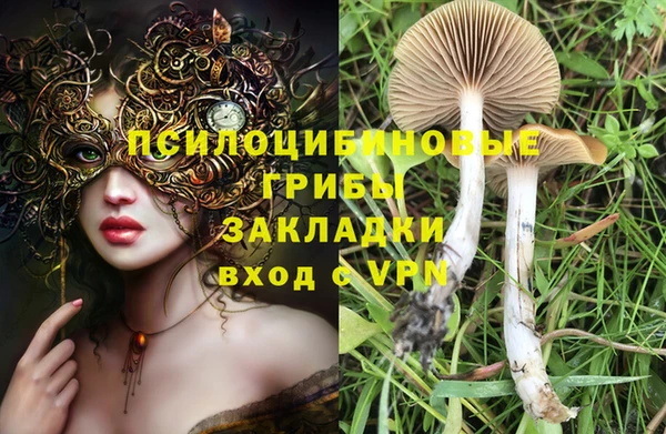 прущие крисы Горно-Алтайск