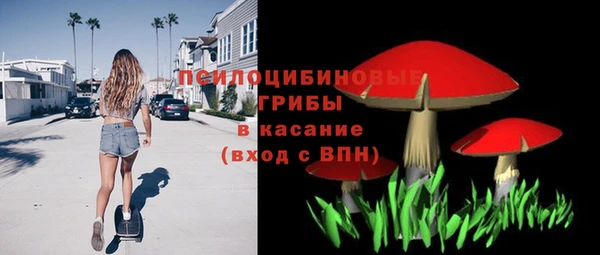 бутират Горнозаводск